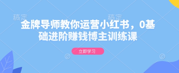 金牌导师教你运营小红书，0基础进阶赚钱博主训练课-玖卿社区