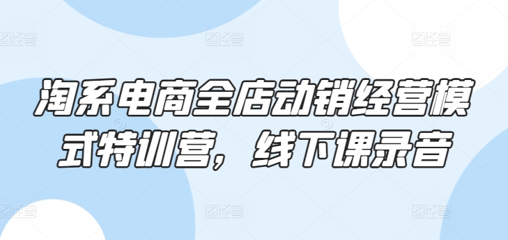 淘系电商全店动销经营模式特训营，线下课录音-玖卿社区