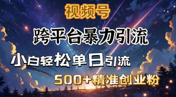 跨平台暴力引流，私域完美闭环，日引500+精准创业粉-玖卿社区