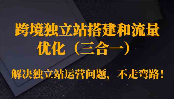跨境独立站搭建和流量优化（三合一）解决独立站运营问题，不走弯路！-玖卿社区