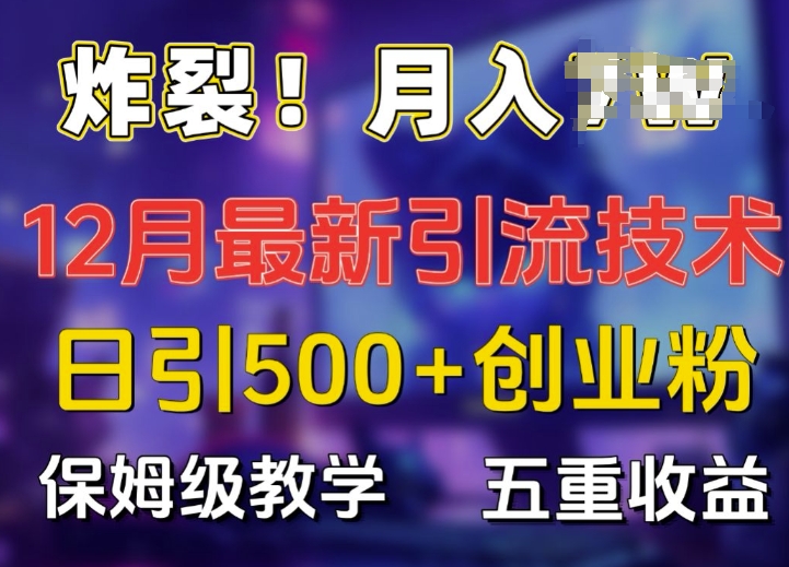 炸裂!揭秘12月最新日引流500+精准创业粉，多重收益保姆级教学-玖卿社区