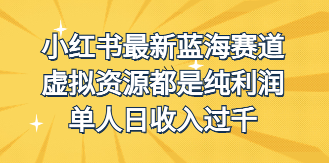 外面收费1980的小红书最新蓝海赛道，虚拟资源都是纯利润，单人日收入过千-玖卿社区