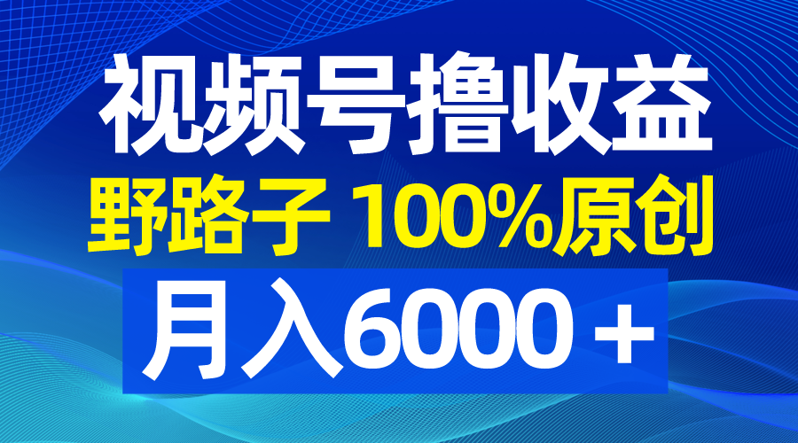 视频号野路子撸收益，100%原创，条条爆款，月入6000＋-玖卿社区