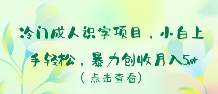 冷门成人识字项目，小白上手轻松，暴力创收月入5w+-玖卿社区