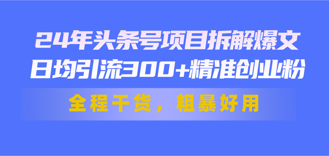 24年头条号项目拆解爆文，日均引流300+精准创业粉，全程干货，粗暴好用-玖卿社区