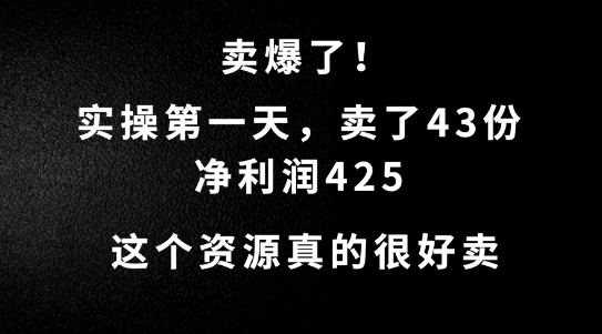 这个资源，需求很大，实操第一天卖了43份，净利润425【揭秘】-玖卿社区