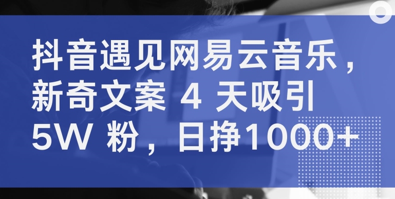 抖音遇见网易云音乐，新奇文案 4 天吸引 5W 粉，日挣1000+-玖卿社区