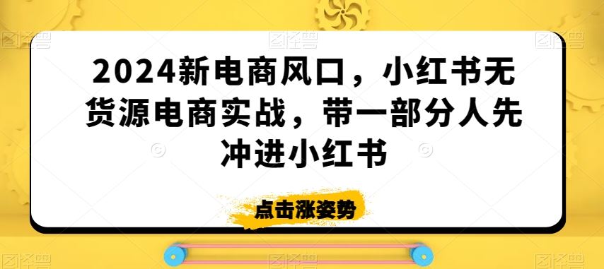 2024新电商风口，小红书无货源电商实战，带一部分人先冲进小红书-玖卿社区