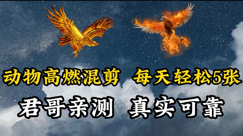 动物超燃混剪，每天轻松5张，剪辑简单大家爱看-玖卿社区