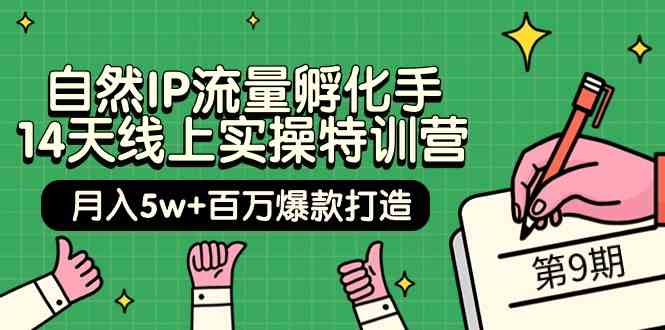 自然IP流量孵化手14天线上实操特训营【第9期】月入5w+百万爆款打造 (74节)-玖卿社区