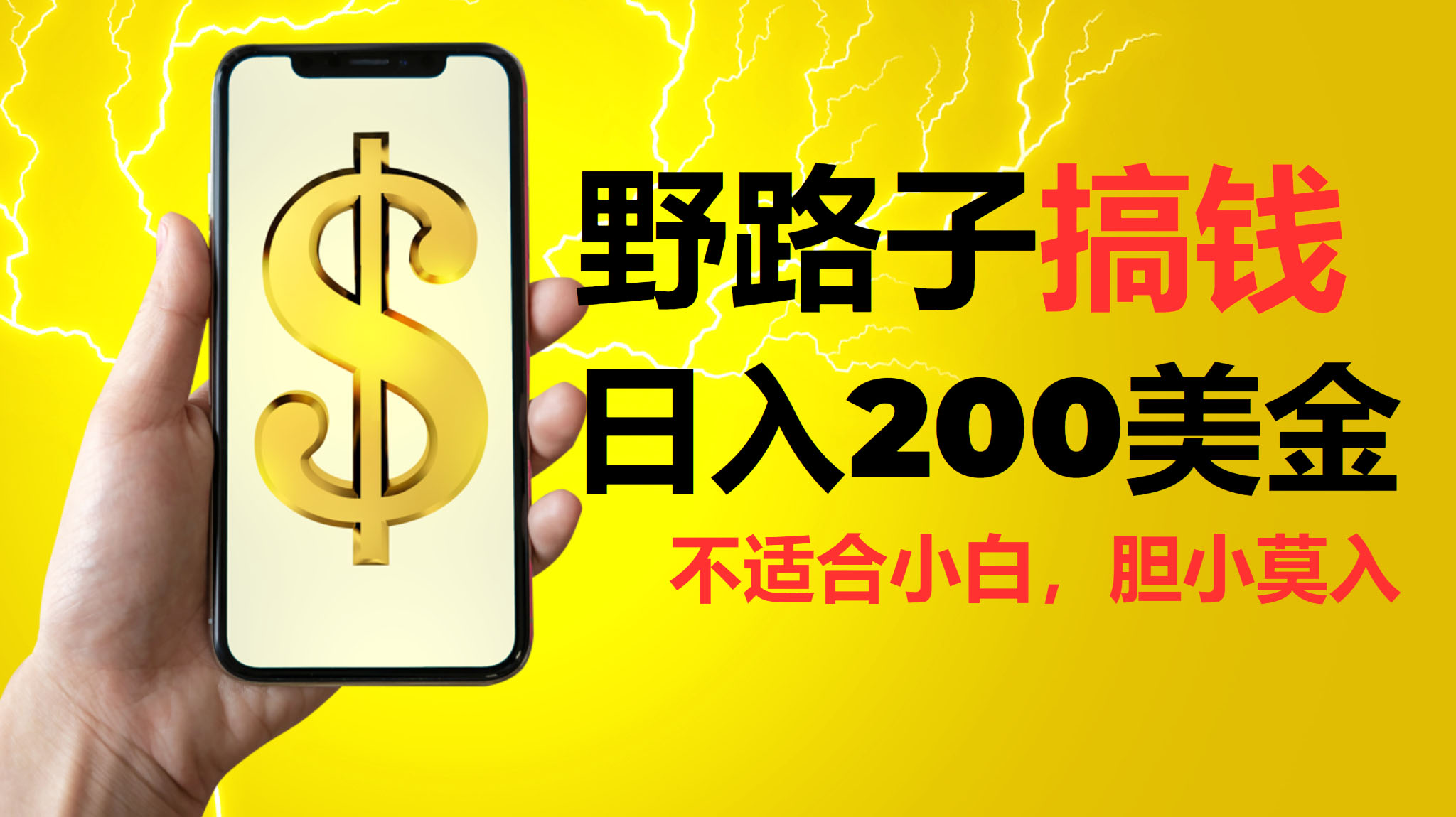 挂机野路子搞钱，日入200美金，路子很野，小白莫入-玖卿社区