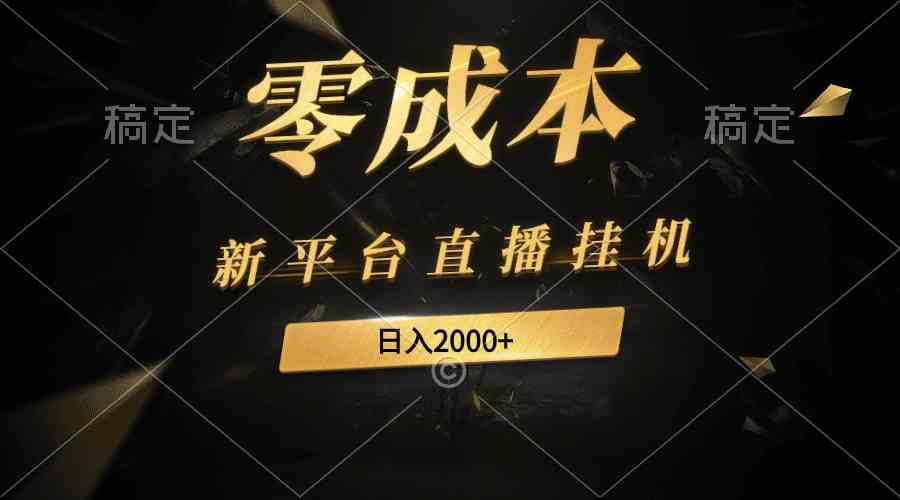 （9841期）新平台直播挂机最新玩法，0成本，不违规，日入2000+-玖卿社区