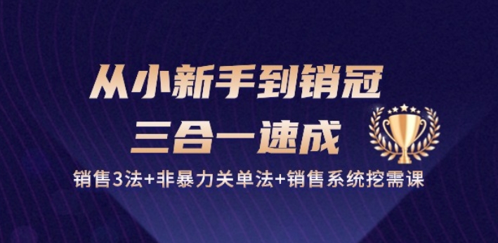 从小新手到销冠 三合一速成：销售3法+非暴力关单法+销售系统挖需课 (27节)-玖卿社区