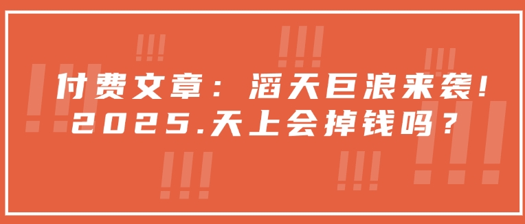 付费文章：滔天巨浪来袭！2025天上会掉钱吗？-玖卿社区