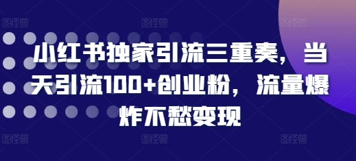 小红书独家引流三重奏，当天引流100+创业粉，流量爆炸不愁变现【揭秘】-玖卿社区