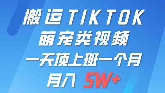 （9931期）一键搬运TIKTOK萌宠类视频 一部手机即可操作 所有平台均可发布 轻松月入5W+-玖卿社区