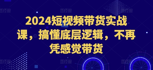 2024短视频带货实战课，搞懂底层逻辑，不再凭感觉带货-玖卿社区