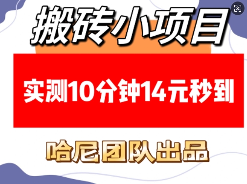 搬砖小项目，实测10分钟14元秒到，每天稳定几张(赠送必看稳定)-玖卿社区