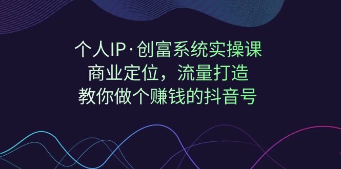 个人IP·创富系统实操课：商业定位，流量打造，教你做个赚钱的抖音号-玖卿社区