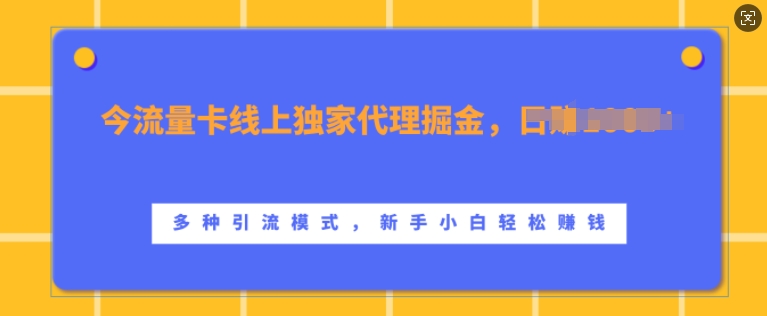 流量卡线上独家代理掘金，日入1k+ ，多种引流模式，新手小白轻松上手【揭秘】-玖卿社区