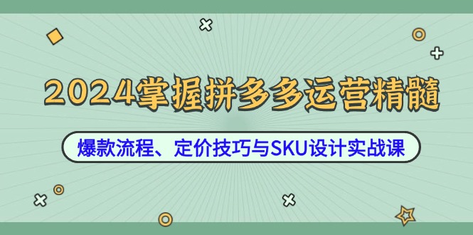 2024掌握拼多多运营精髓：爆款流程、定价技巧与SKU设计实战课-玖卿社区