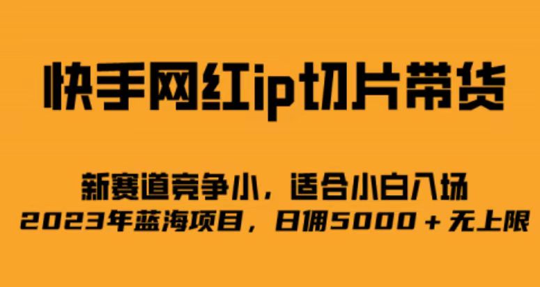 快手网红ip切片新赛道，竞争小事，适合小白 2023蓝海项目-玖卿社区