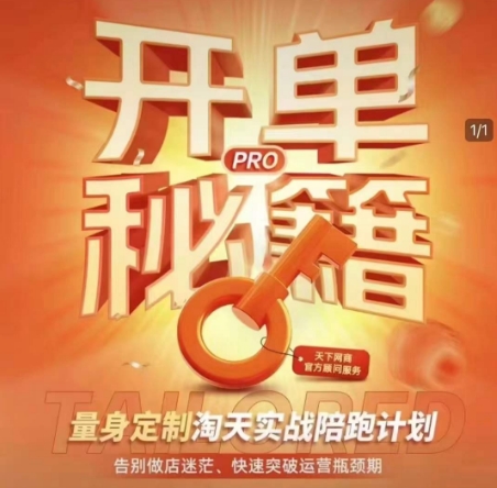淘宝开单秘籍PRO，量身定制淘天实战陪跑计划，告别做店迷茫、快速突破运营瓶颈期-玖卿社区
