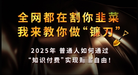知识付费如何做到月入过W+，2025我来教你做“镰刀”【揭秘】-玖卿社区