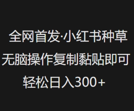 全网首发，小红书种草无脑操作，复制黏贴即可，轻松日入3张-玖卿社区