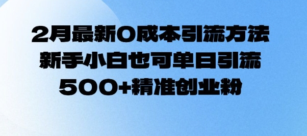 2月最新0成本引流方法，新手小白也可单日引流500+精准创业粉-玖卿社区