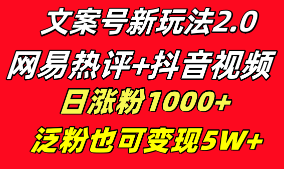 文案号新玩法 网易热评+抖音文案 一天涨粉1000+ 多种变现模式 泛粉也可变现-玖卿社区