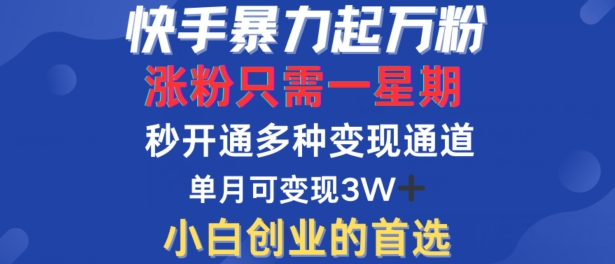 快手暴力起万粉，涨粉只需一星期，多种变现模式，直接秒开万合，单月变现过W【揭秘】-玖卿社区