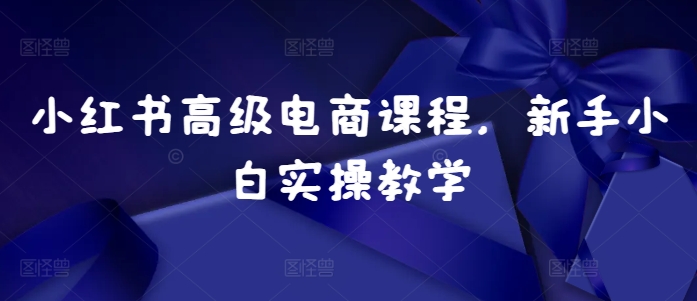 小红书高级电商课程，新手小白实操教学-玖卿社区