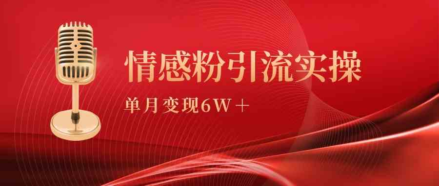 （9473期）单月变现6w+，情感粉引流变现实操课-玖卿社区