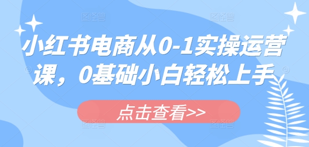 小红书电商从0-1实操运营课，0基础小白轻松上手-玖卿社区