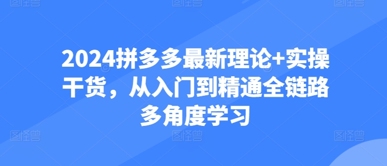 2024拼多多最新理论+实操干货，从入门到精通全链路多角度学习-玖卿社区