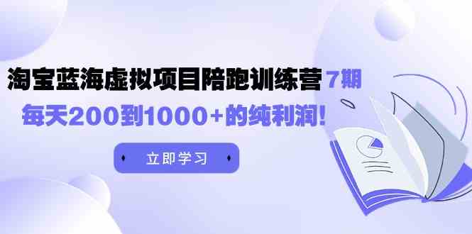 （9541期）黄岛主《淘宝蓝海虚拟项目陪跑训练营7期》每天200到1000+的纯利润-玖卿社区