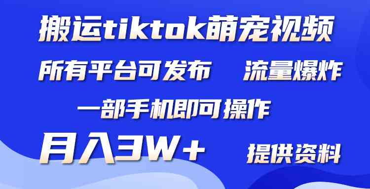 （9618期）搬运Tiktok萌宠类视频，一部手机即可。所有短视频平台均可操作，月入3W+-玖卿社区