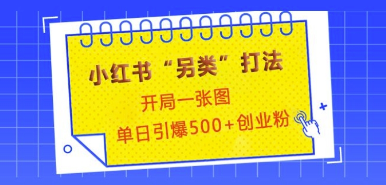 小红书“另类”打法，开局一张图，单日引爆500+精准创业粉【揭秘】-玖卿社区