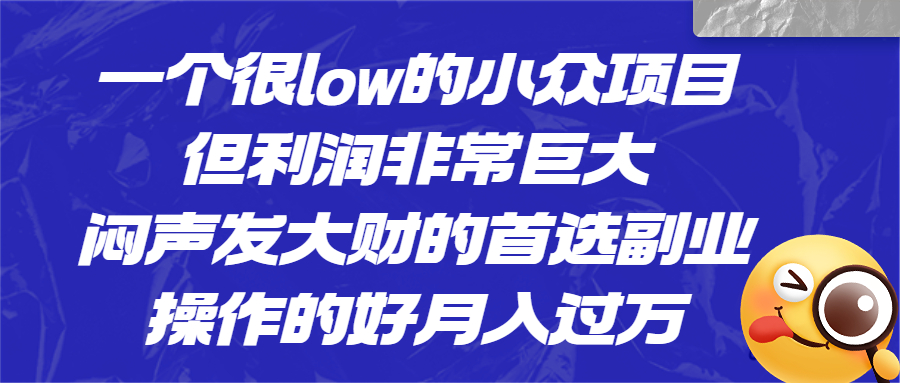 一个很low的小众项目，但利润非常巨大，闷声发大财的首选副业，月入过万-玖卿社区