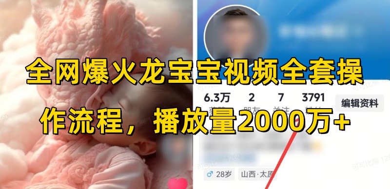 全网爆火龙宝宝视频全套操作流程，播放量2000万+-玖卿社区