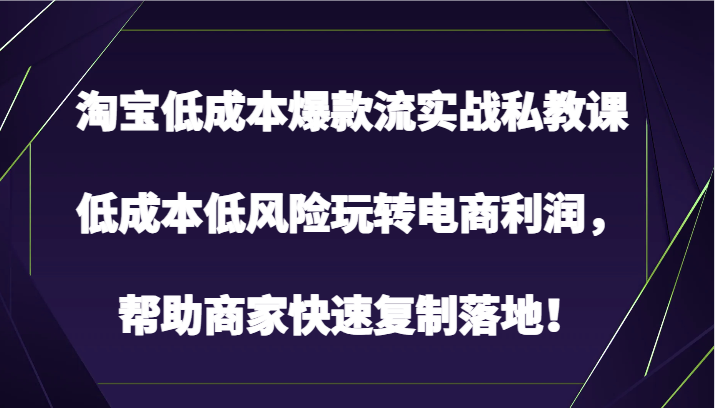 淘宝低成本爆款流实战私教课，低成本低风险玩转电商利润，帮助商家快速复制落地！-玖卿社区