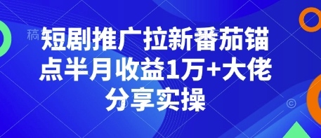 短剧推广拉新番茄锚点半月收益1万+大佬分享实操-玖卿社区