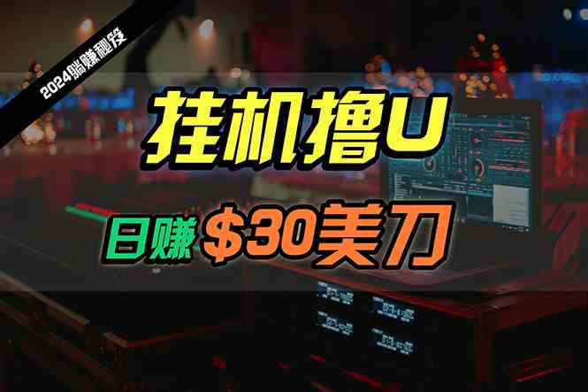 （10013期）日赚30美刀，2024最新海外挂机撸U内部项目，全程无人值守，可批量放大-玖卿社区