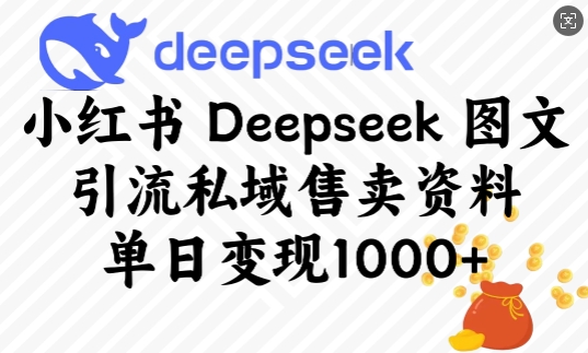 小红书Deepseek图文引流私域售卖资料，单日变现多张-玖卿社区