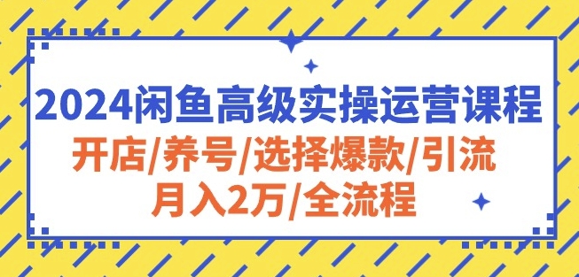 2024闲鱼高级实操运营课程：开店/养号/选择爆款/引流/月入2万/全流程-玖卿社区