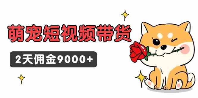 （9273期）东哲日记·萌宠短视频带货，2天佣金9000+-玖卿社区