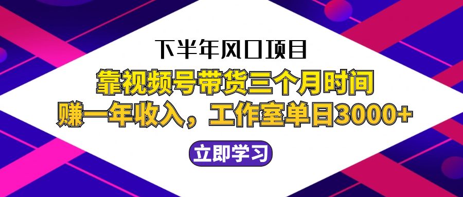 （12849期）下半年风口项目，靠视频号带货三个月时间赚一年收入，工作室实测单日3…-玖卿社区