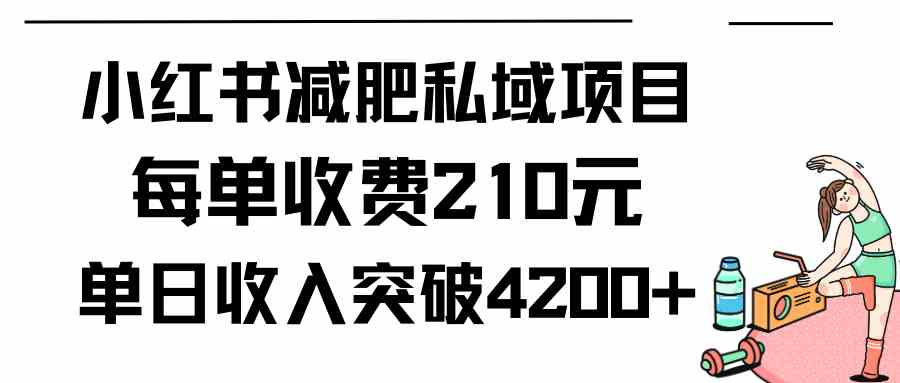 （9466期）小红书减肥私域项目每单收费210元单日成交20单，最高日入4200+-玖卿社区