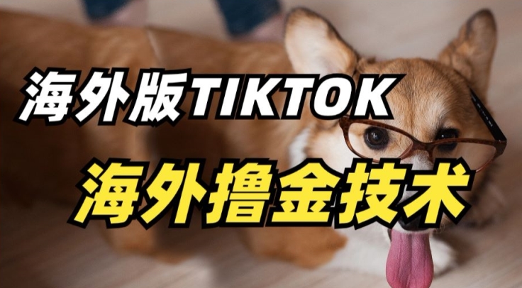 抖音海外版tiktok撸金技术，这个风口行业，赚钱真的不难-玖卿社区
